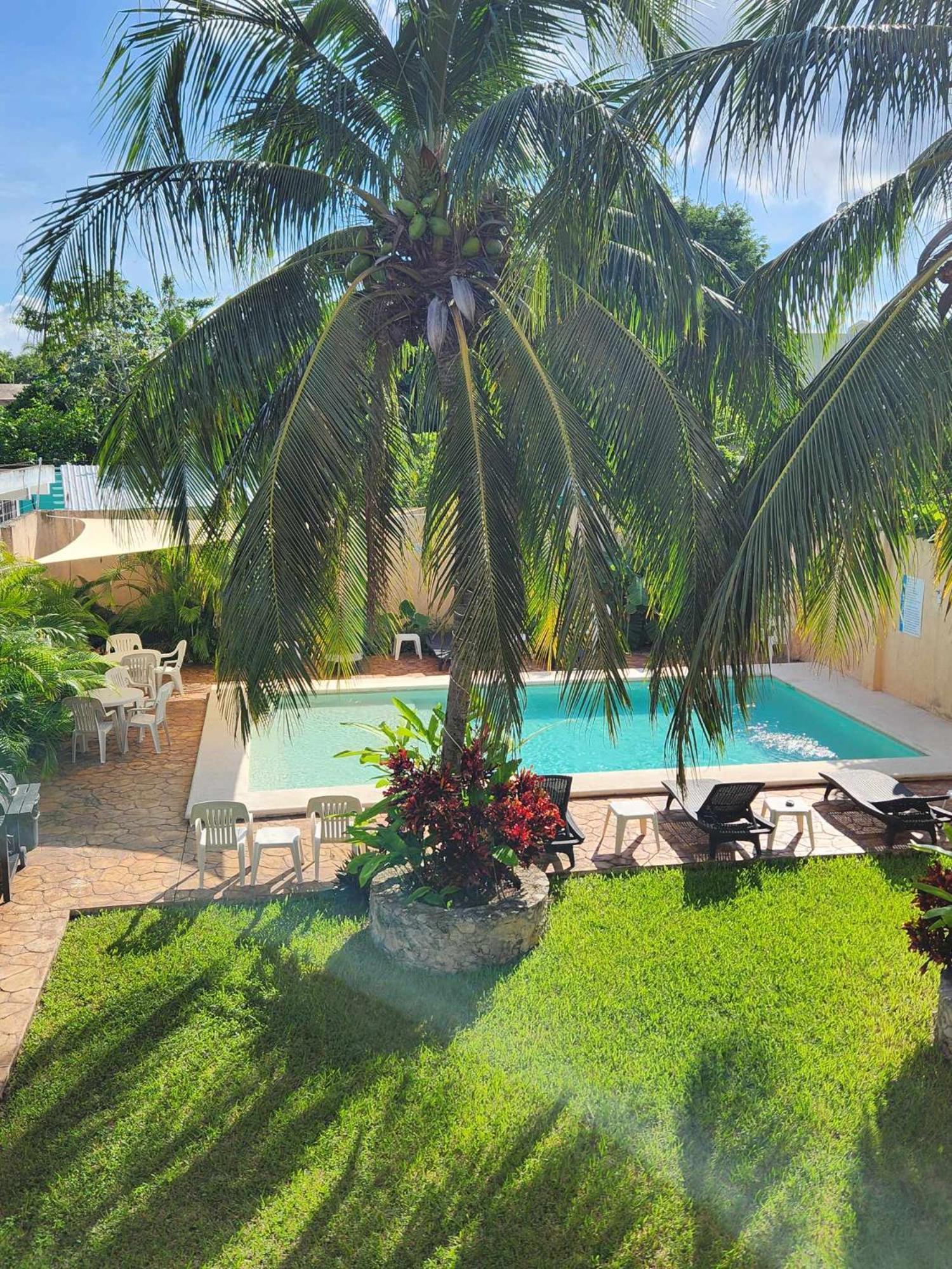 Coral Island Suites Cozumel Exterior foto